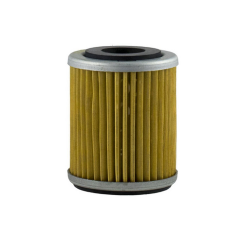 Champion Oil Filter Element - COF042