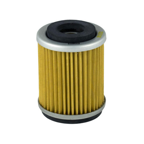 Champion Oil Filter Element - COF043