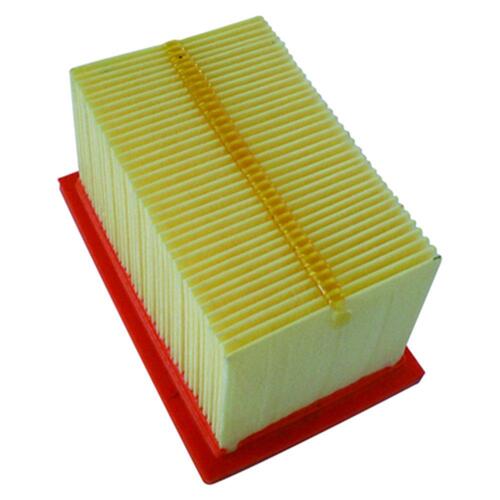 Champion Air Filter CAF6601 - BMW