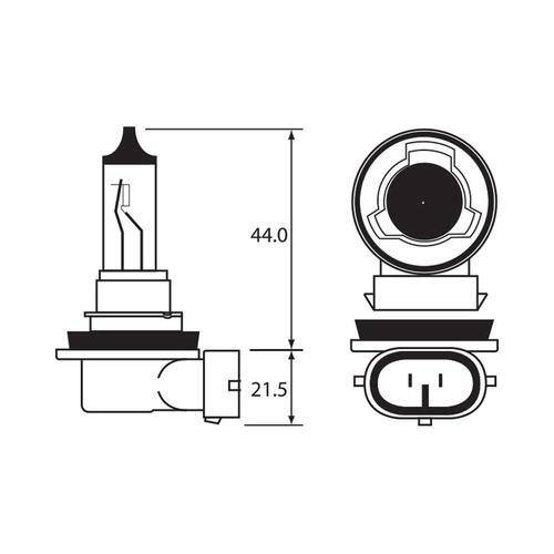 Bulb - Halogen 12V 55W - H11 - PGJ19-2