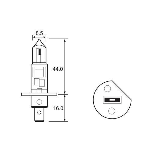 Bulb - Halogen 12V 55W - H1 - P14.5S