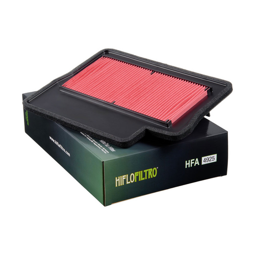 Air Filter Element HFA4925