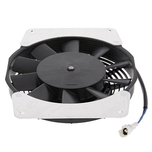 All Balls - Cooling Fan