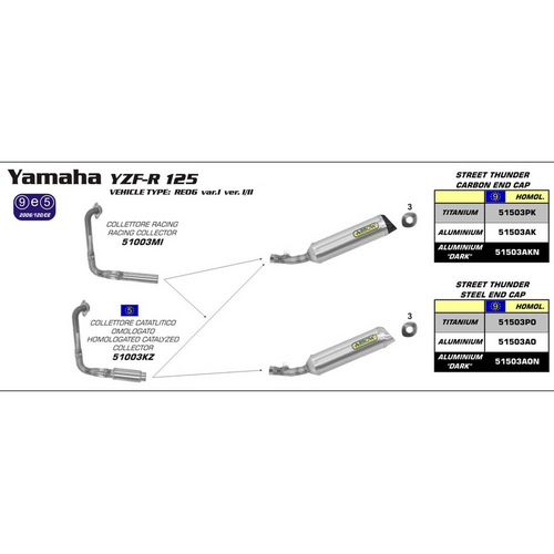 ARROW 51503PK Silencer - THUNDER Titanium Silver with Carbon Fibre End Cap - YAAMAHA YZF-R125