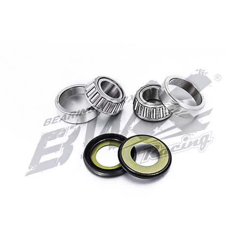 Bearing Worx - Steering Head Kit Sherco