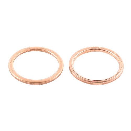 Exhaust Gasket Kit 823048