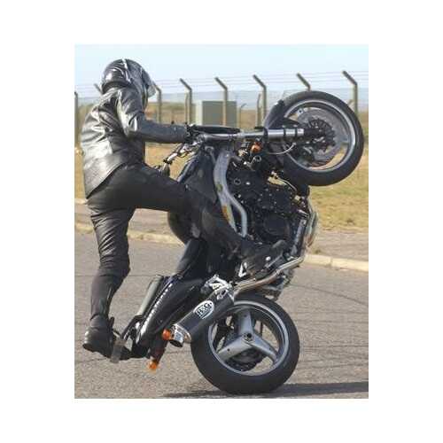 Crash Protectors (Black) - Triumph Speed Triple '97-'07 Front