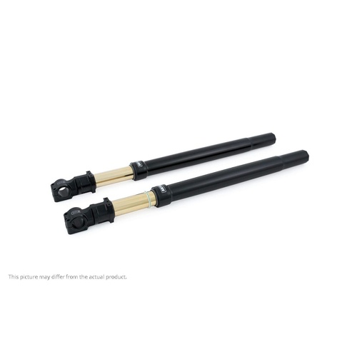 Front fork universal 50/54/800 black (SET)