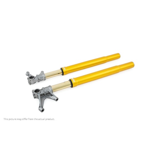 Front fork Superbike (SET)