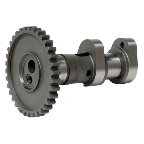 Hot Cams Camshaft Suzuki Drz400