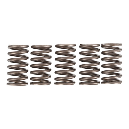 Premier Clutch Springs - Heavy Duty