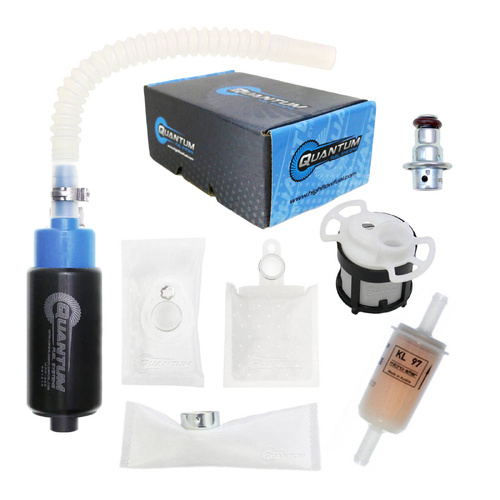 Quantum In-tank EFI Fuel Pump with Regulator Tank Seal Filter