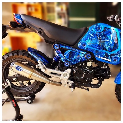 HOMDA GROM 2022 System